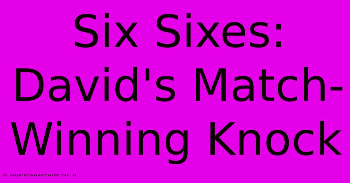 Six Sixes: David's Match-Winning Knock