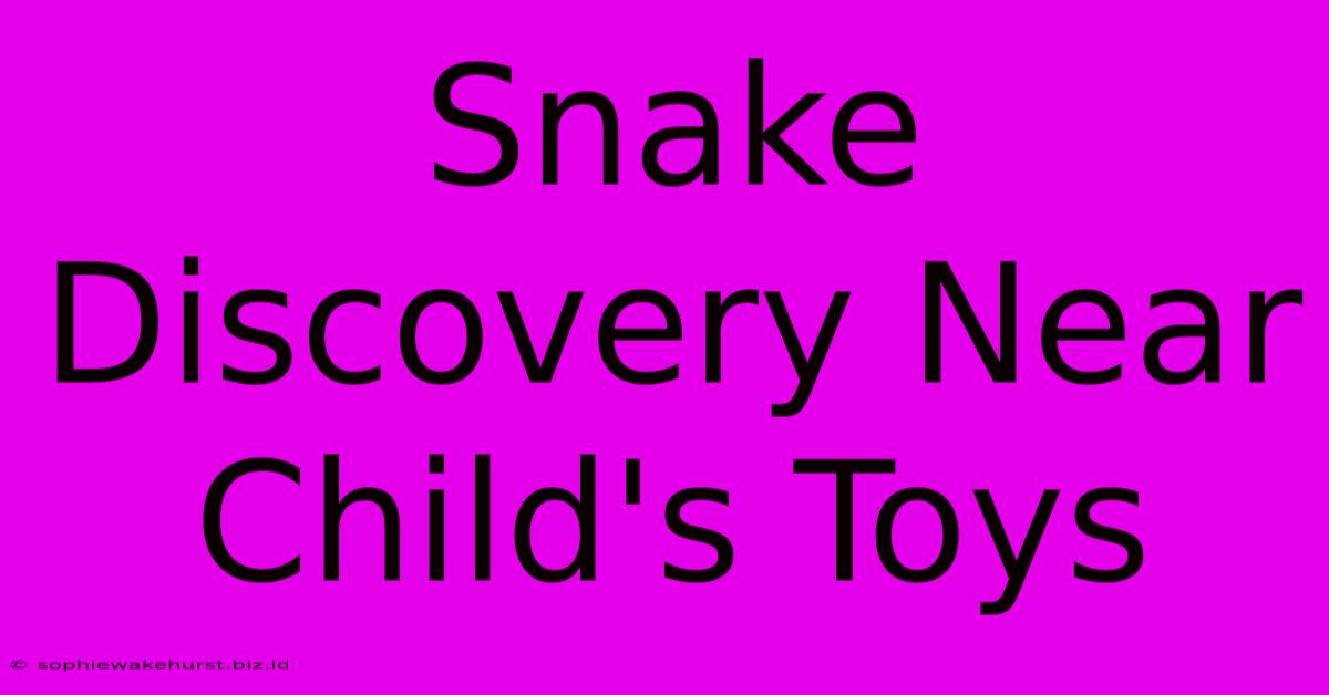 Snake Discovery Near Child's Toys