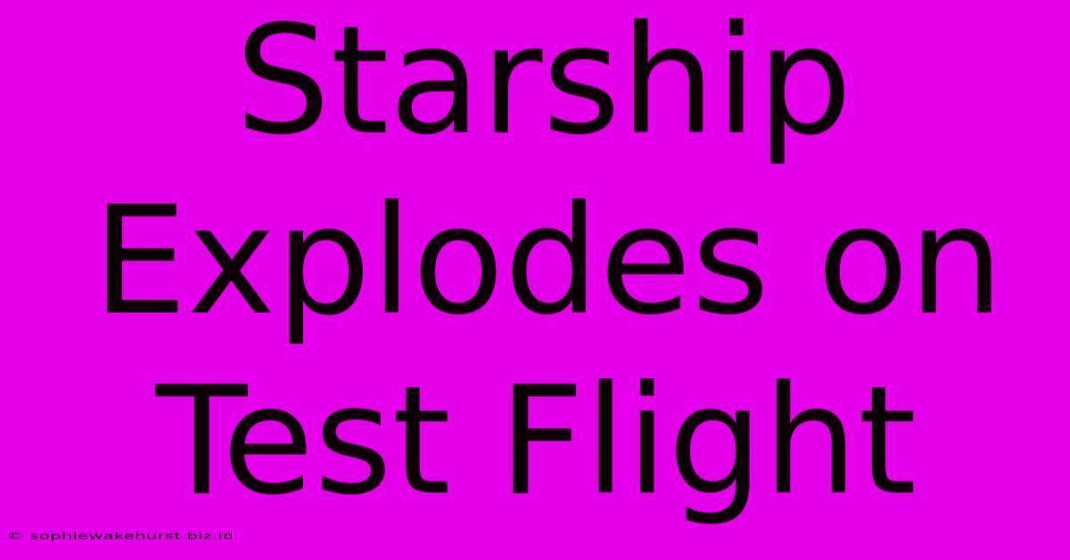 Starship Explodes On Test Flight