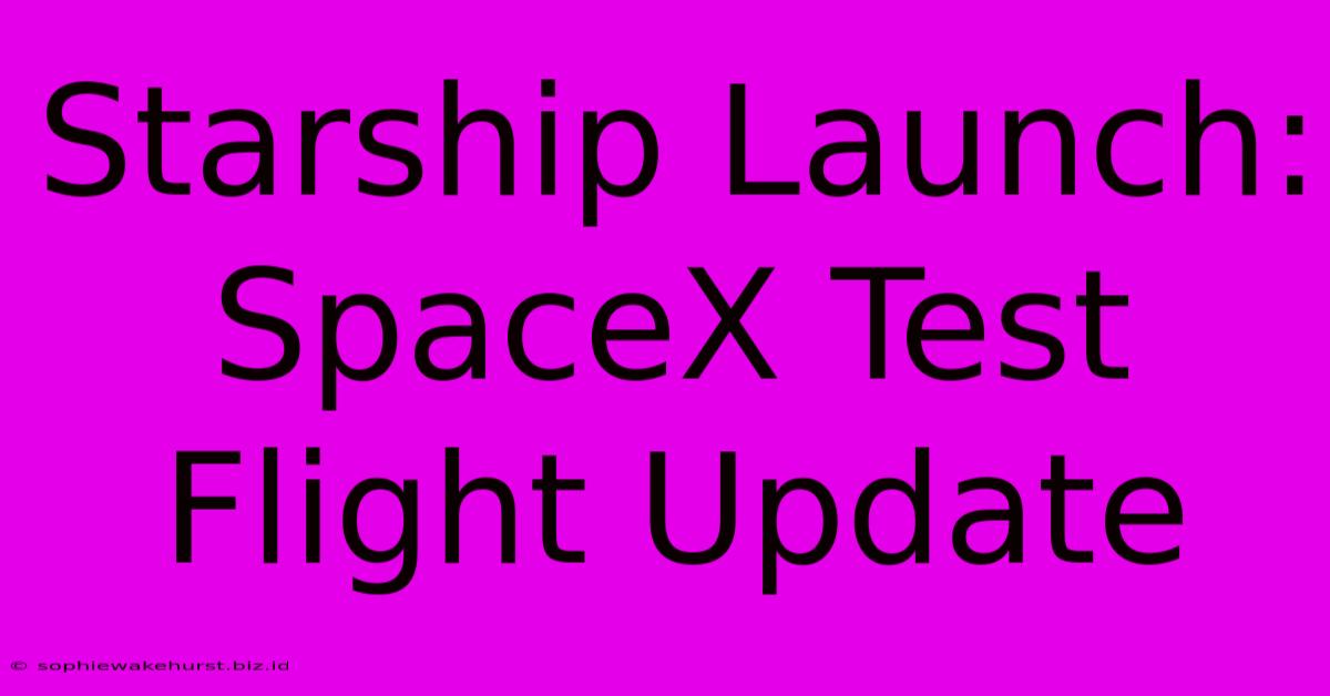 Starship Launch: SpaceX Test Flight Update