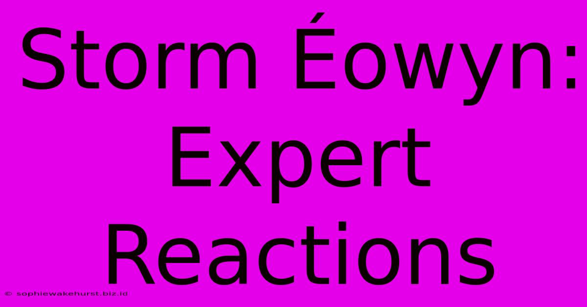 Storm Éowyn: Expert Reactions