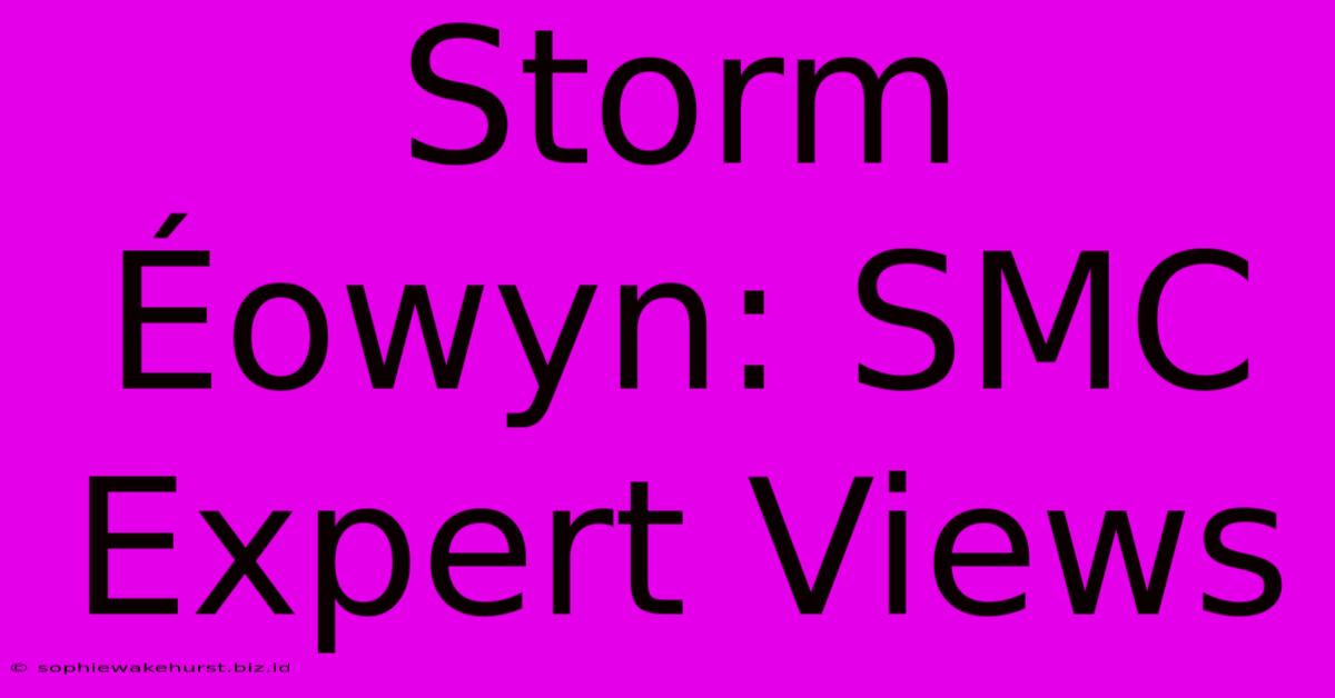 Storm Éowyn: SMC Expert Views