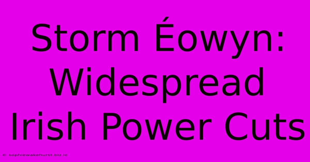 Storm Éowyn: Widespread Irish Power Cuts