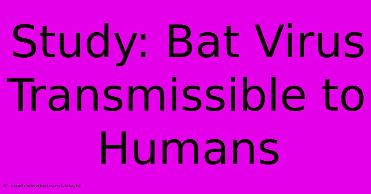 Study: Bat Virus Transmissible To Humans