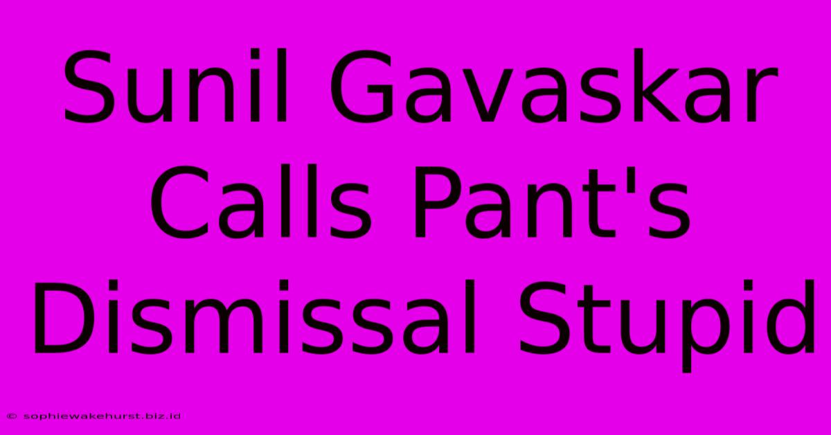 Sunil Gavaskar Calls Pant's Dismissal Stupid