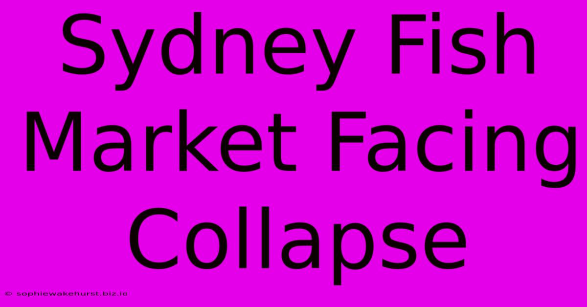 Sydney Fish Market Facing Collapse