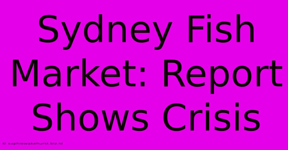 Sydney Fish Market: Report Shows Crisis