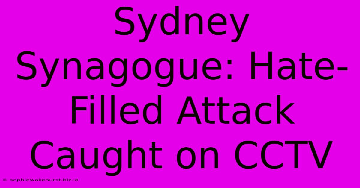 Sydney Synagogue: Hate-Filled Attack Caught On CCTV