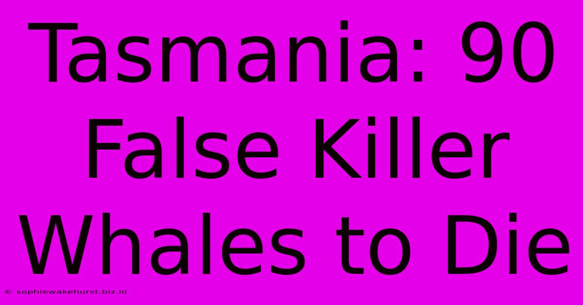 Tasmania: 90 False Killer Whales To Die