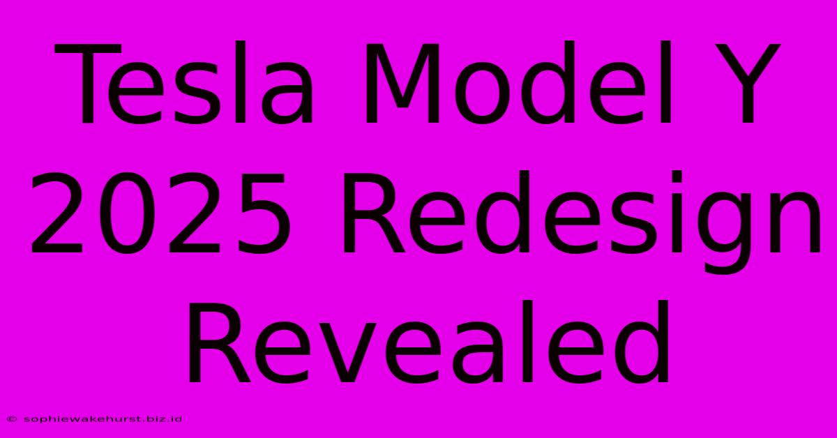 Tesla Model Y 2025 Redesign Revealed