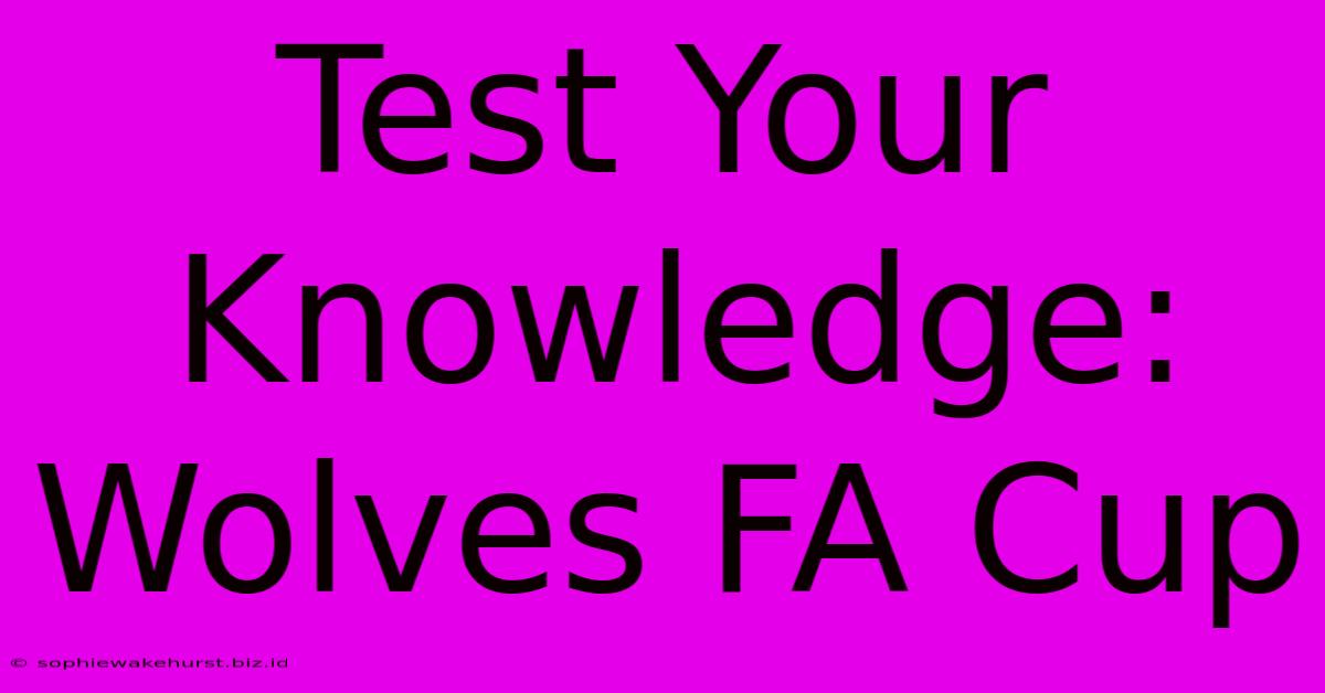 Test Your Knowledge: Wolves FA Cup