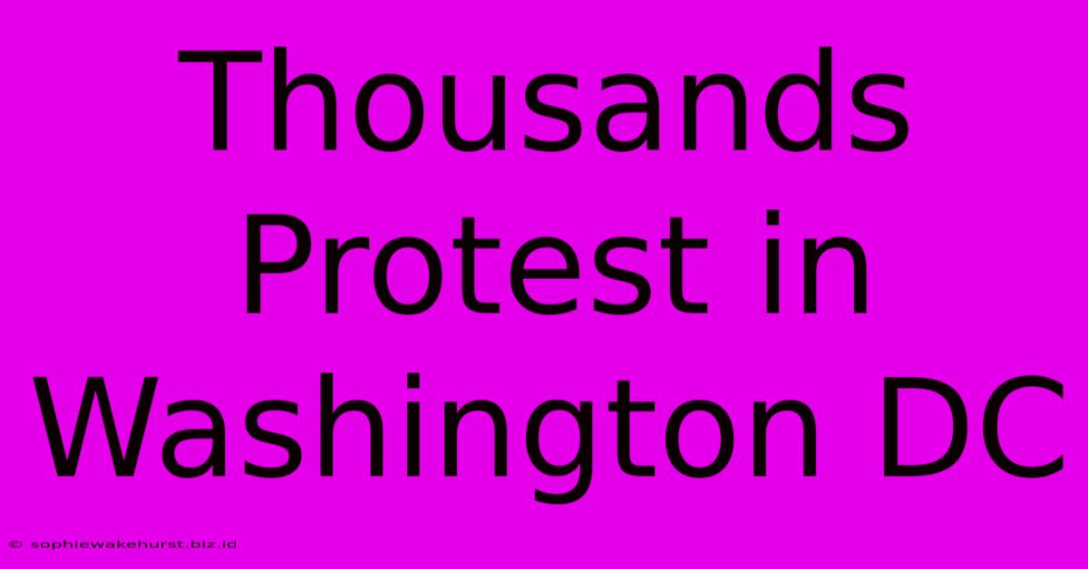 Thousands Protest In Washington DC