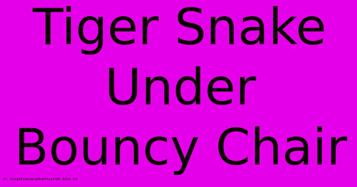 Tiger Snake Under Bouncy Chair