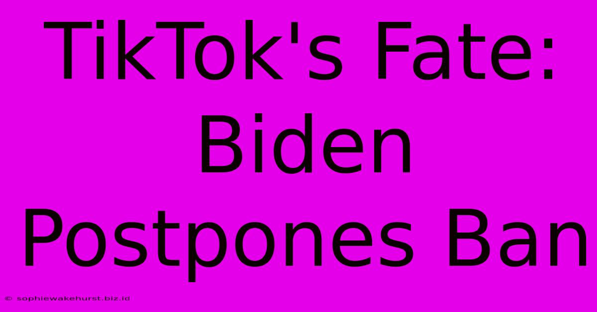 TikTok's Fate: Biden Postpones Ban