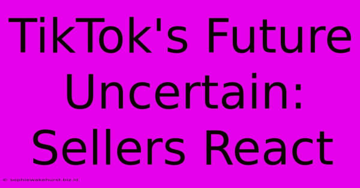 TikTok's Future Uncertain: Sellers React