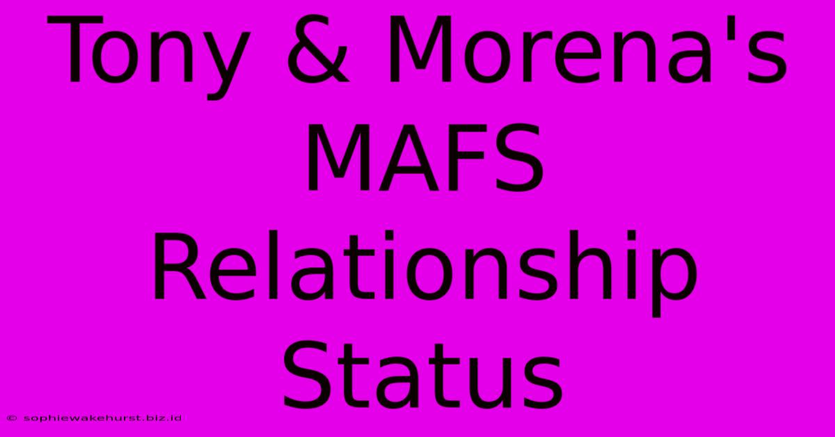 Tony & Morena's MAFS Relationship Status