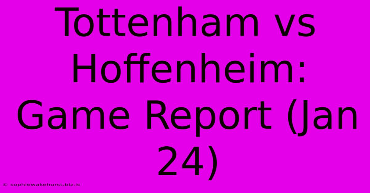 Tottenham Vs Hoffenheim: Game Report (Jan 24)