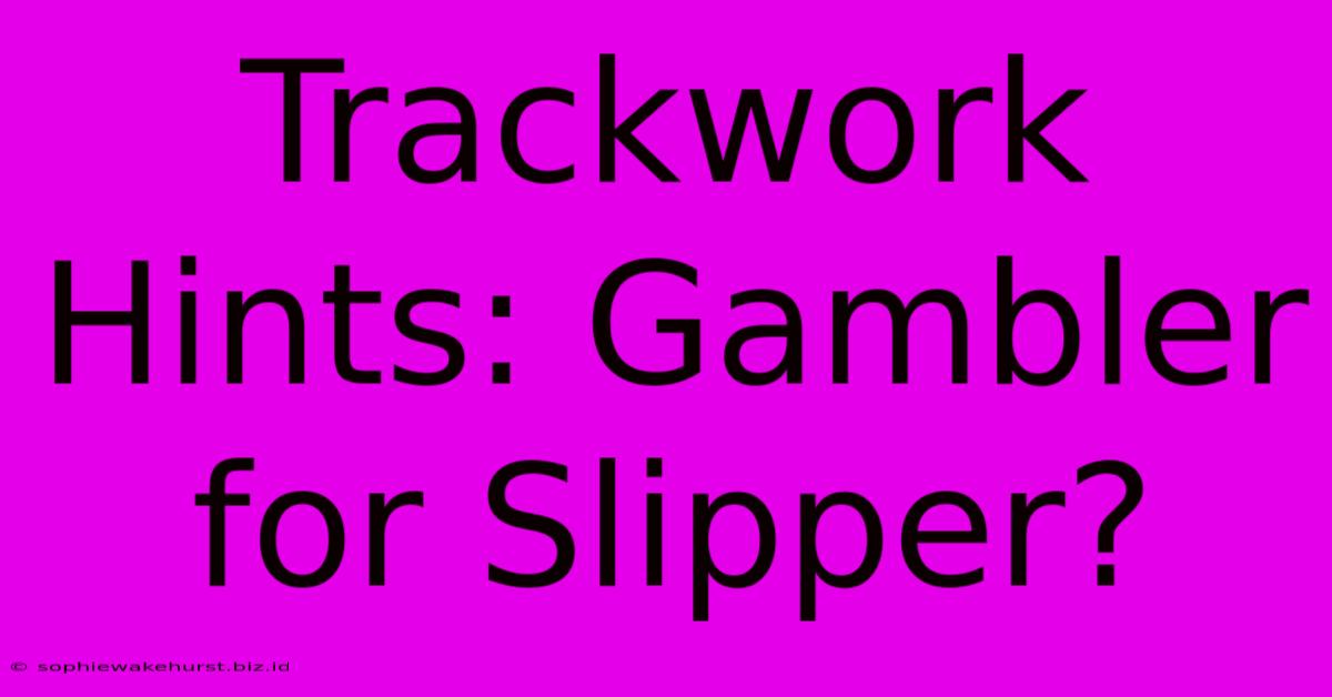 Trackwork Hints: Gambler For Slipper?