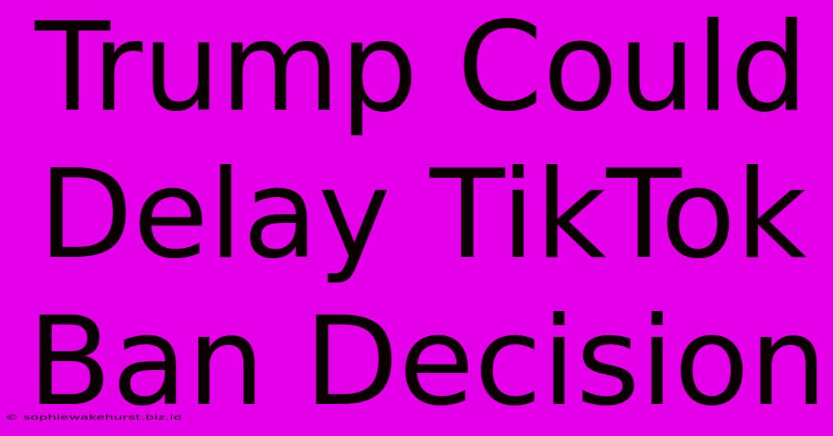 Trump Could Delay TikTok Ban Decision