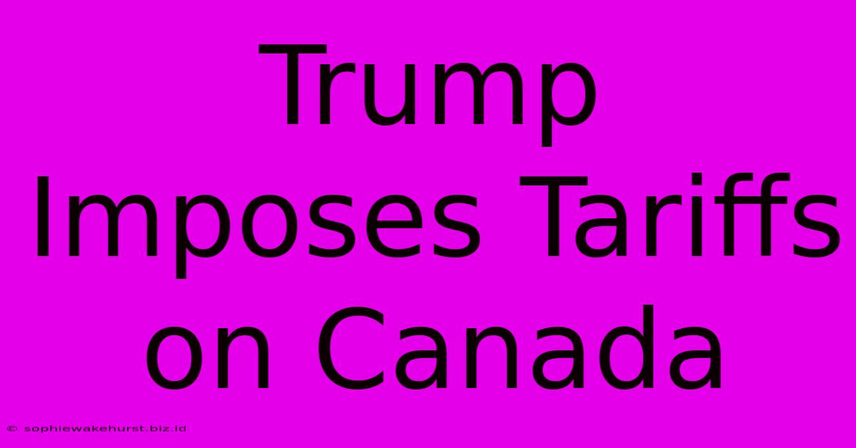 Trump Imposes Tariffs On Canada