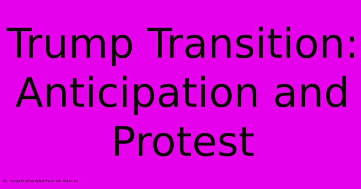 Trump Transition: Anticipation And Protest