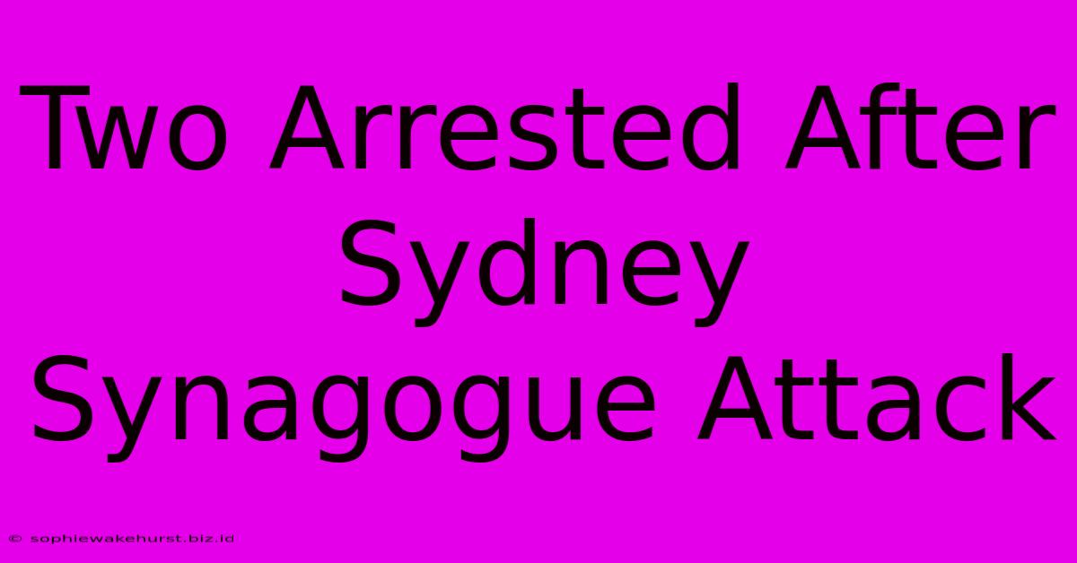 Two Arrested After Sydney Synagogue Attack