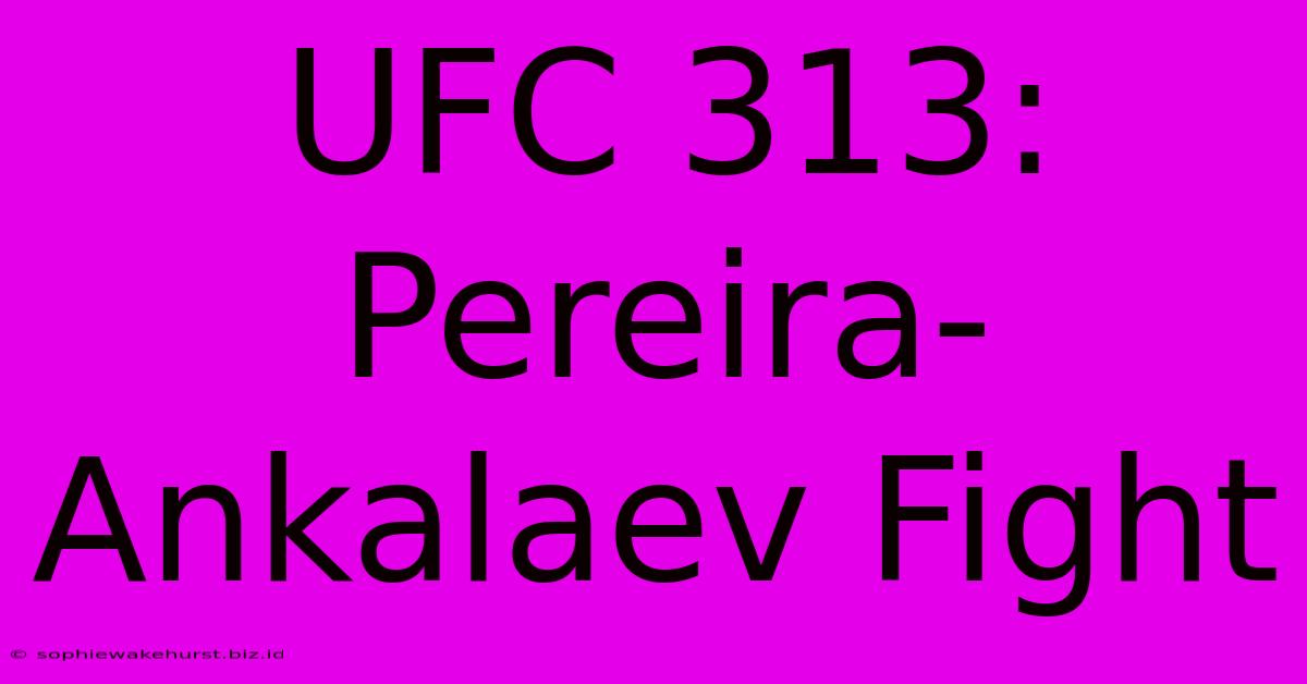 UFC 313: Pereira-Ankalaev Fight