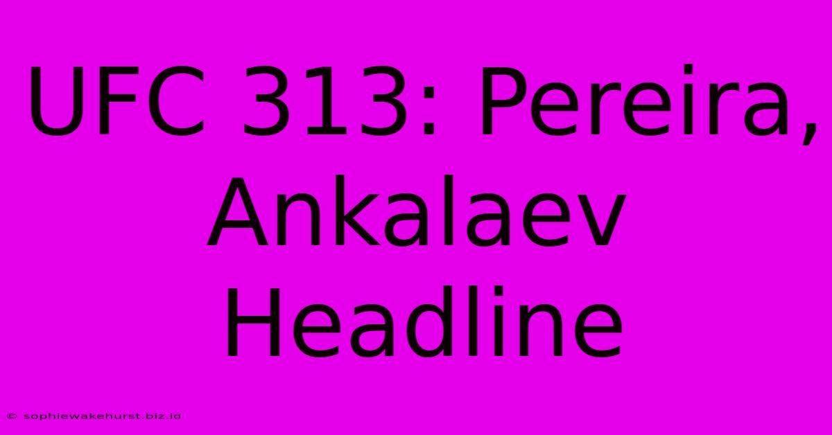 UFC 313: Pereira, Ankalaev Headline