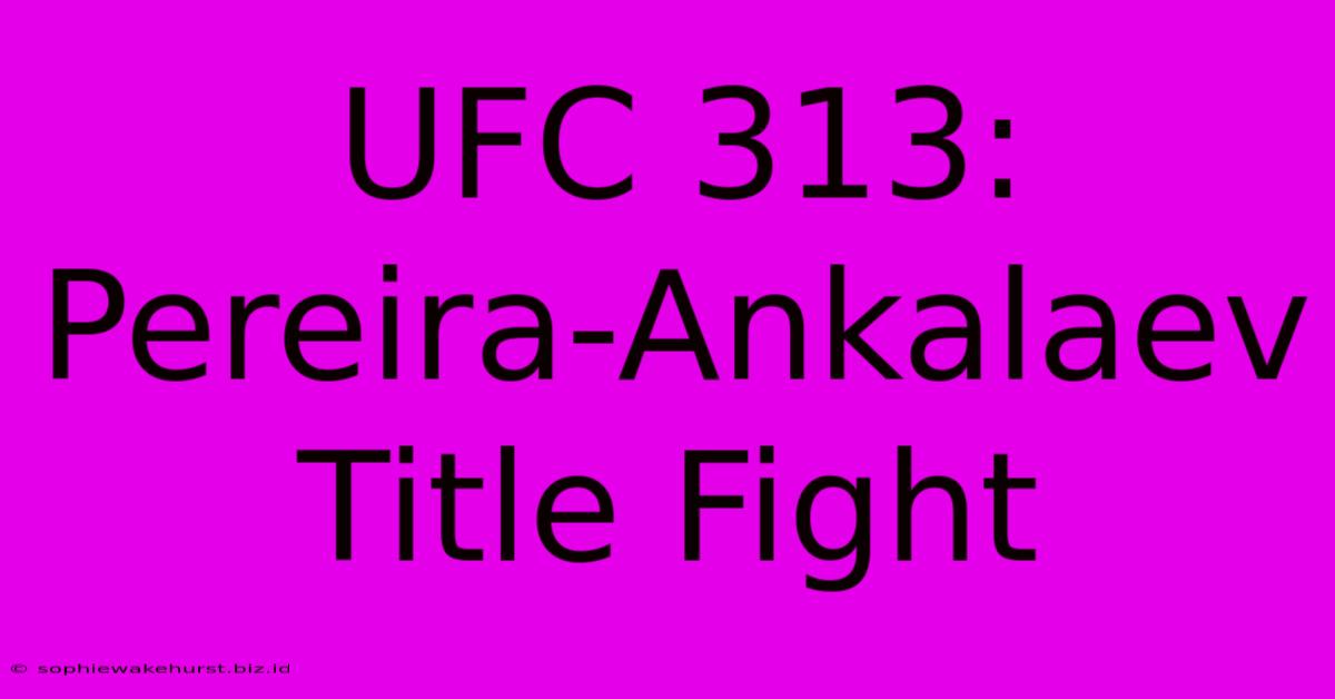 UFC 313: Pereira-Ankalaev Title Fight