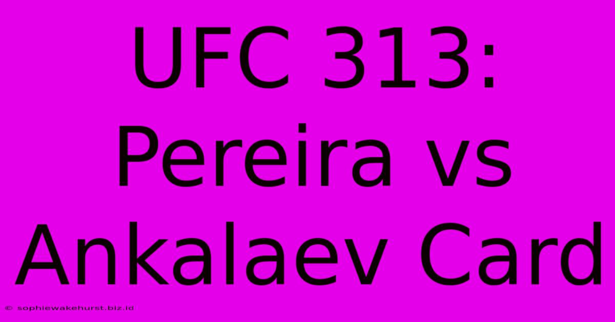 UFC 313: Pereira Vs Ankalaev Card