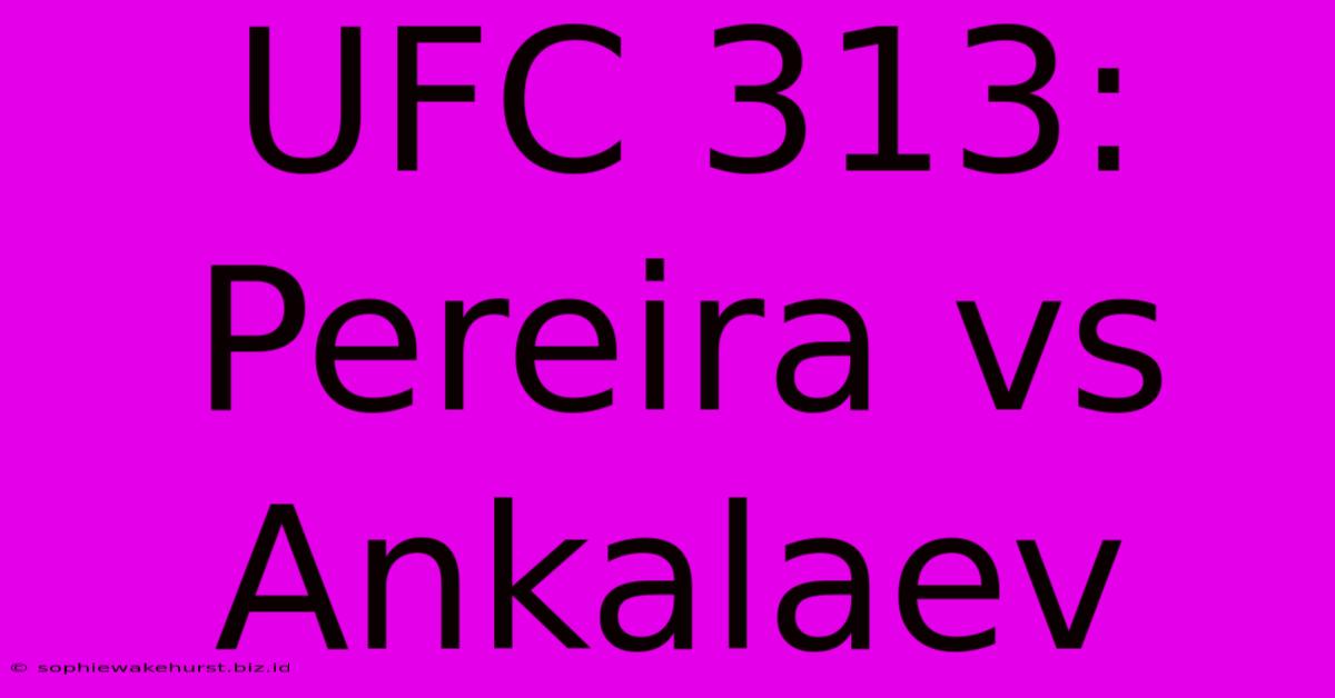 UFC 313: Pereira Vs Ankalaev