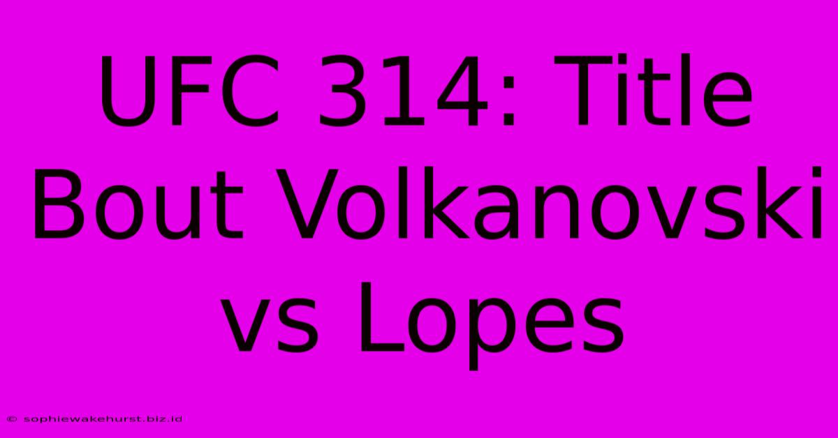 UFC 314: Title Bout Volkanovski Vs Lopes