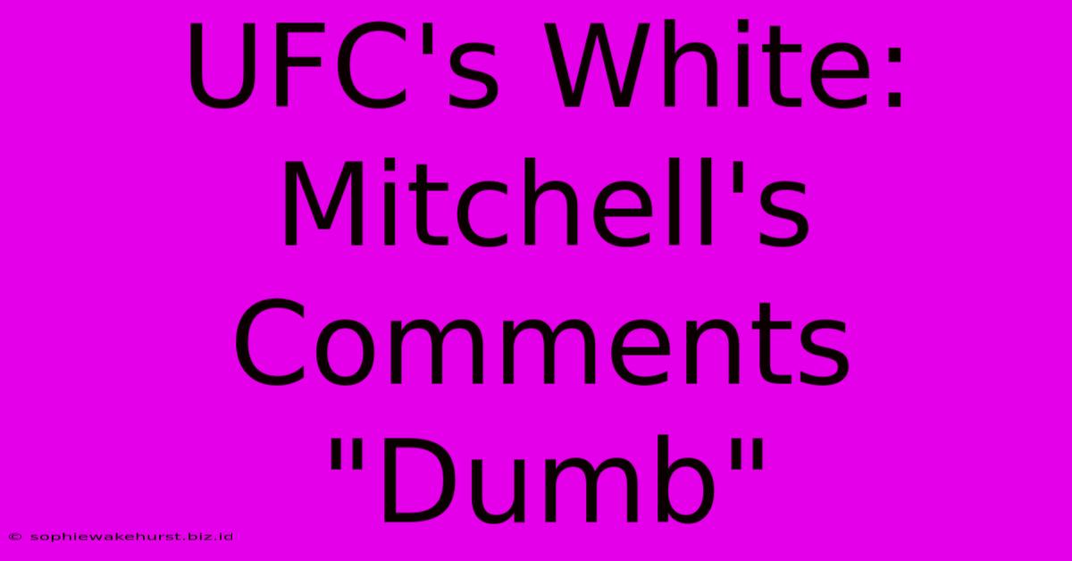 UFC's White: Mitchell's Comments 