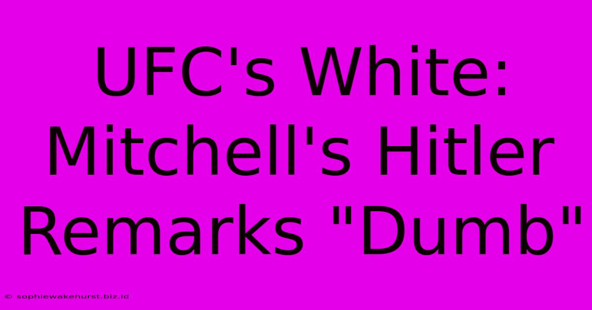 UFC's White: Mitchell's Hitler Remarks 