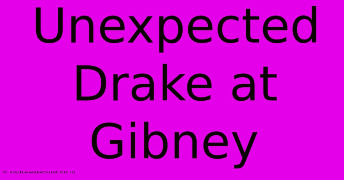 Unexpected Drake At Gibney