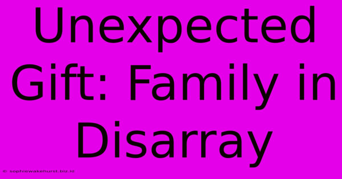 Unexpected Gift: Family In Disarray