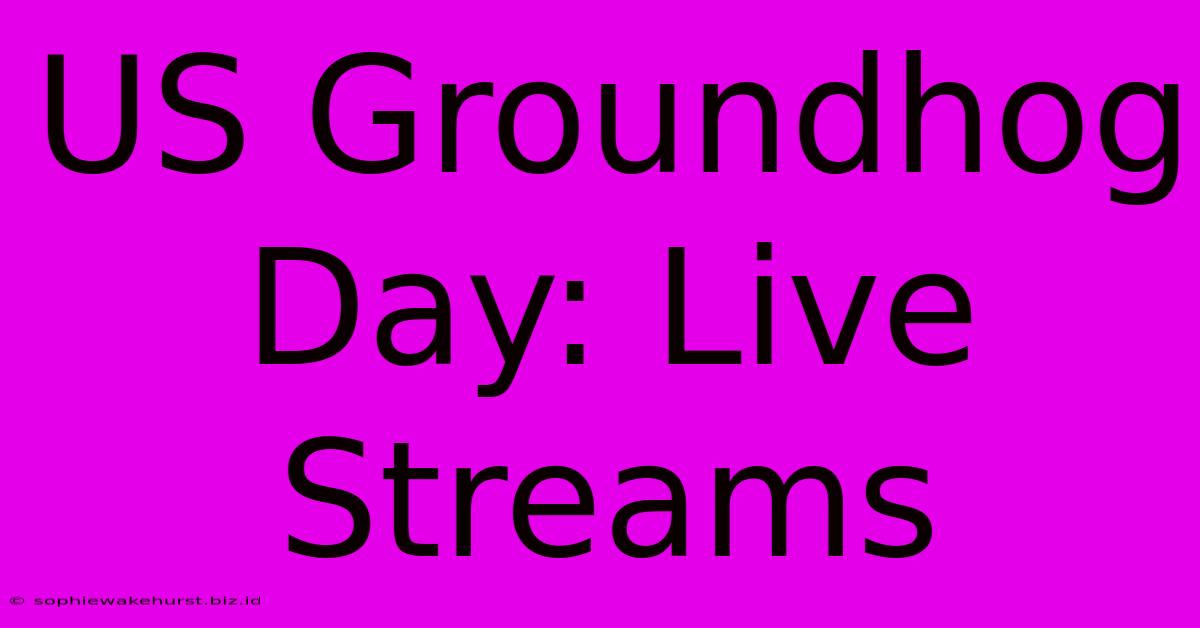 US Groundhog Day: Live Streams