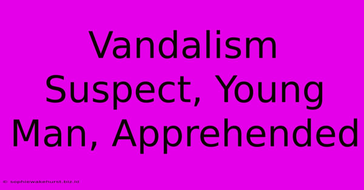 Vandalism Suspect, Young Man, Apprehended