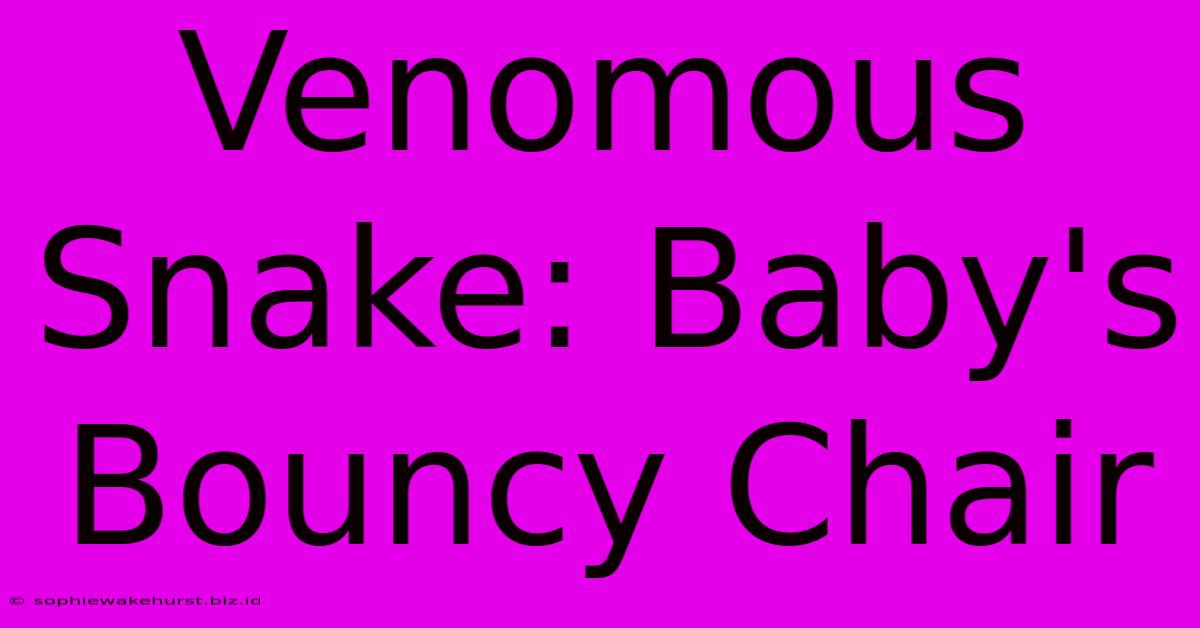 Venomous Snake: Baby's Bouncy Chair