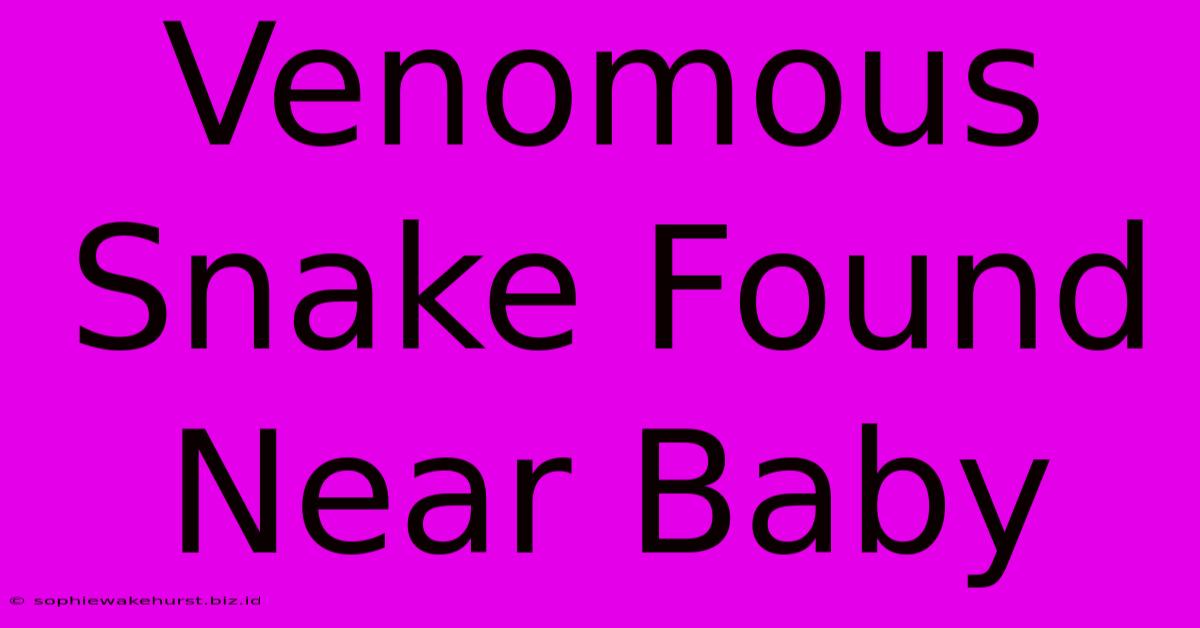 Venomous Snake Found Near Baby