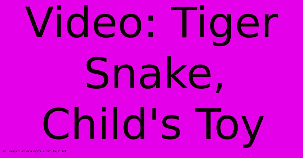 Video: Tiger Snake, Child's Toy