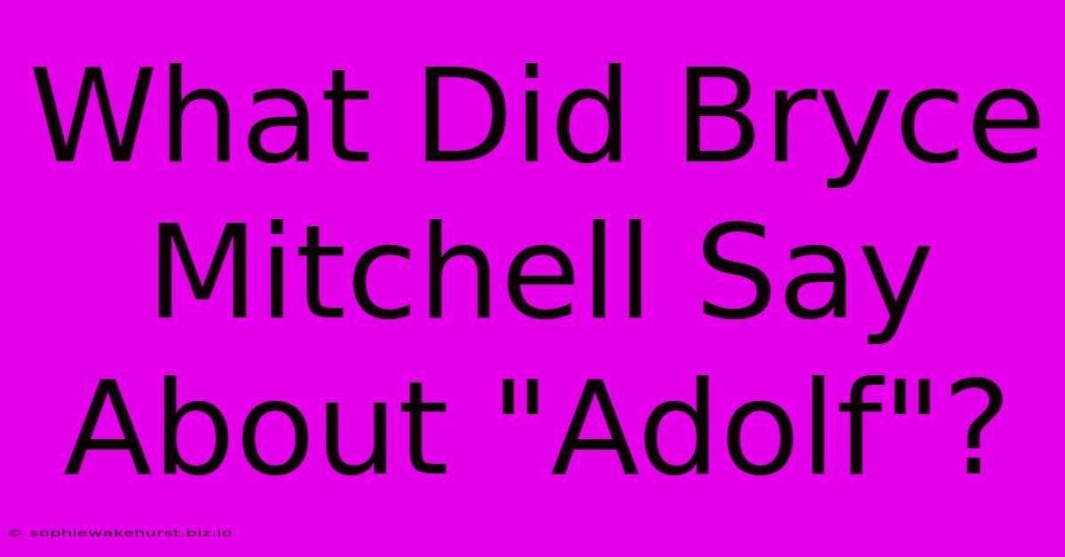 What Did Bryce Mitchell Say About 