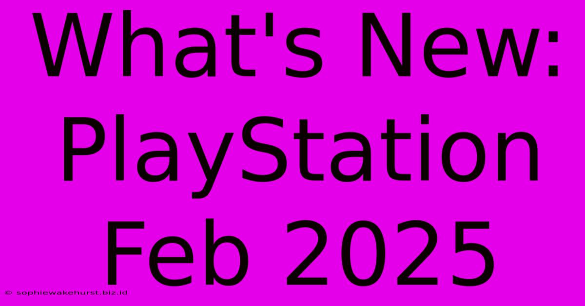 What's New: PlayStation Feb 2025