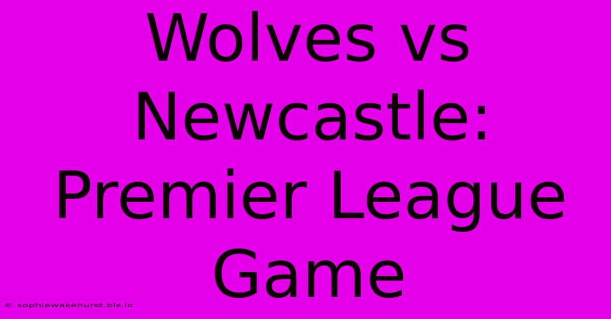 Wolves Vs Newcastle: Premier League Game