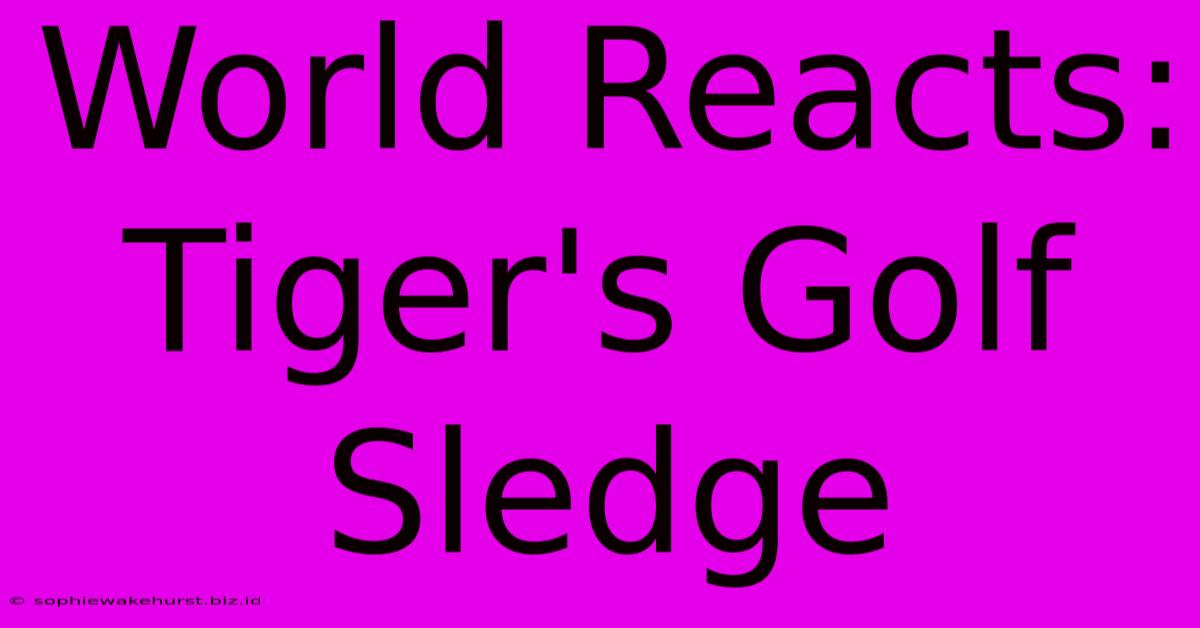 World Reacts: Tiger's Golf Sledge