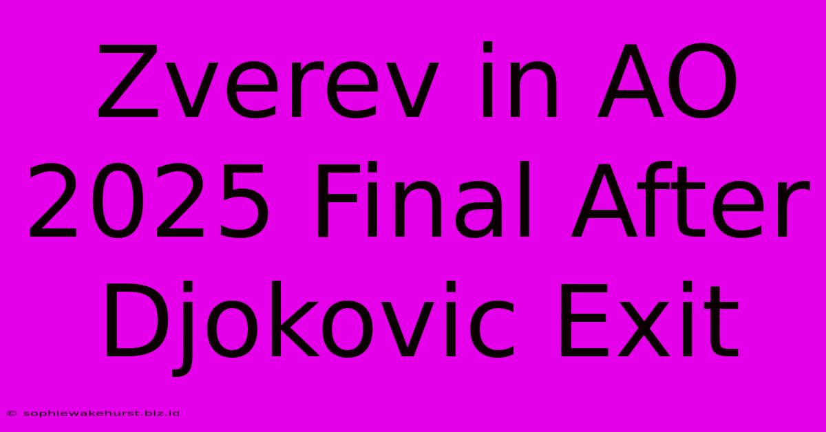 Zverev In AO 2025 Final After Djokovic Exit